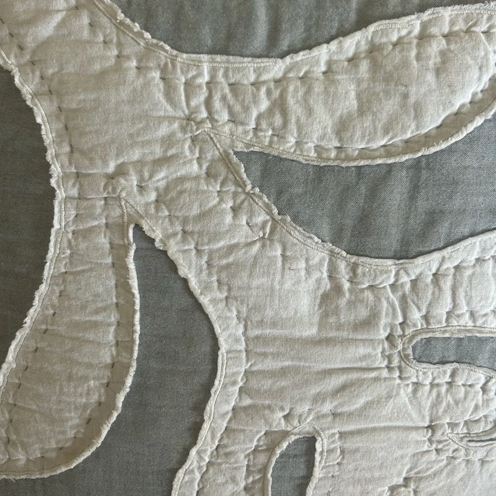 Pottery Barn Pillow Shams